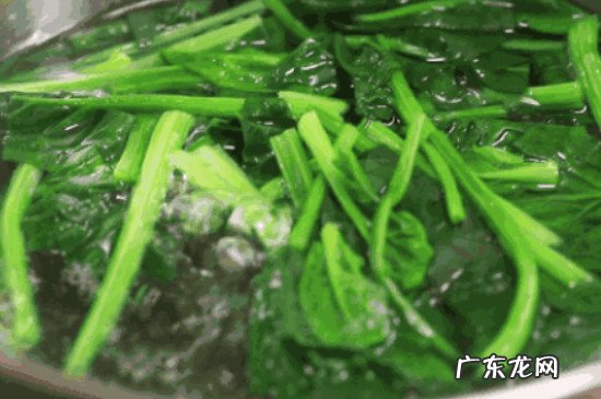 菠菜汁怎么榨汁