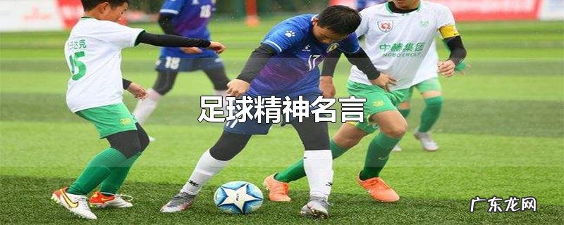 足球精神名言