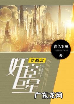 娱乐明星的小说有哪些