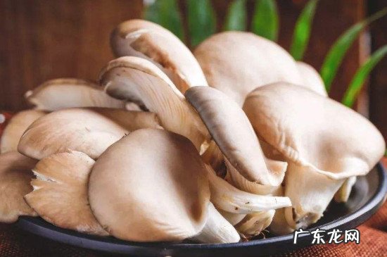 蘑菇放冰箱长白毛能吃吗