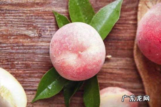 桃和西红柿可以一起吃吗