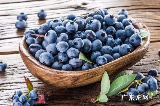 蓝莓香蕉可以一起榨汁吗