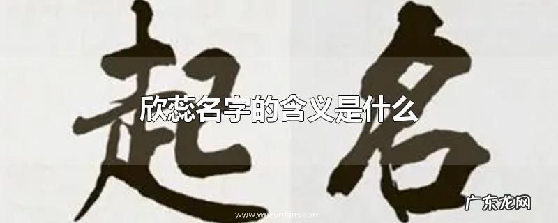 欣蕊名字的含义是什么