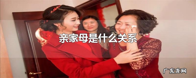 亲家母是什么关系