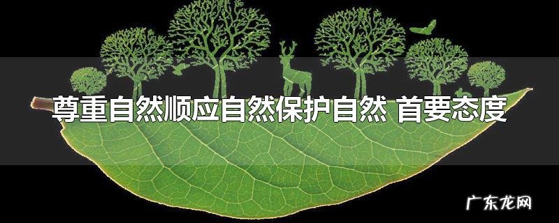 尊重自然顺应自然保护自然 首要态度