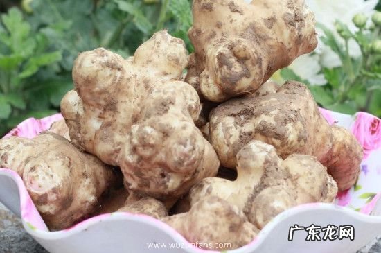 新鲜带泥生姜如何保存