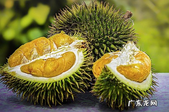 榴莲发苦怎么处理