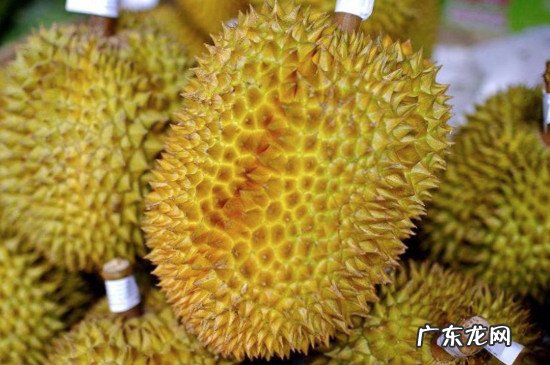 榴莲发苦怎么处理