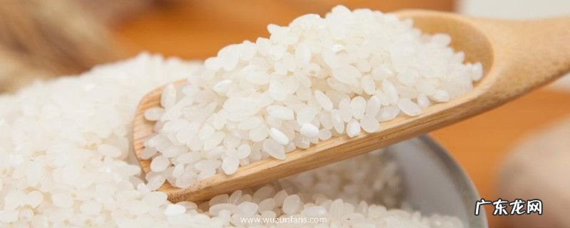 大米生黑色虫子还能吃吗