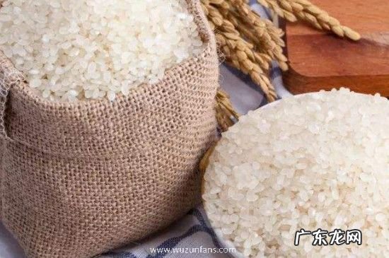 大米生黑色虫子还能吃吗
