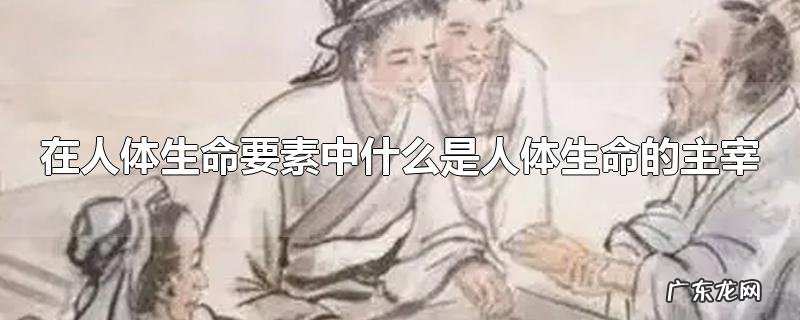 在人体生命要素中什么是人体生命的主宰