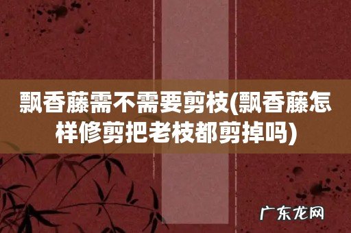飘香藤怎样修剪把老枝都剪掉吗 飘香藤需不需要剪枝