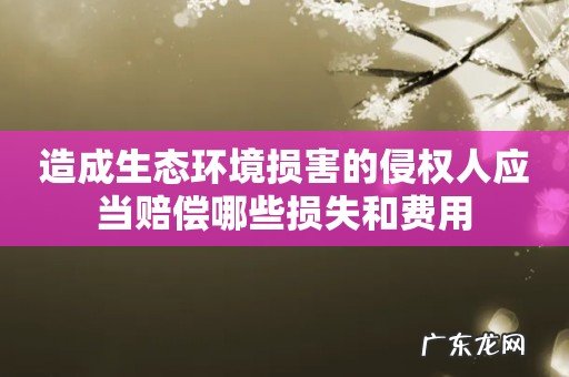 造成生态环境损害的侵权人应当赔偿哪些损失和费用