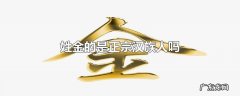 姓金的是正宗汉族人吗