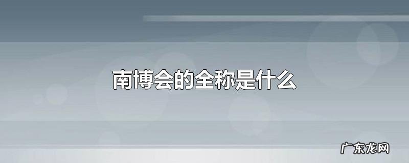 南博会的全称是什么