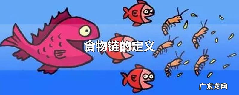 食物链的定义