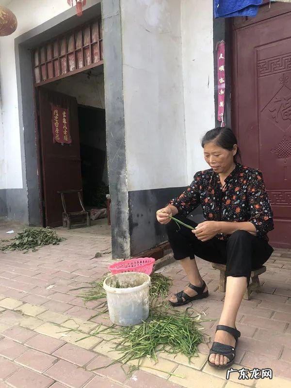 王家坝位于哪里 王家坝在哪里