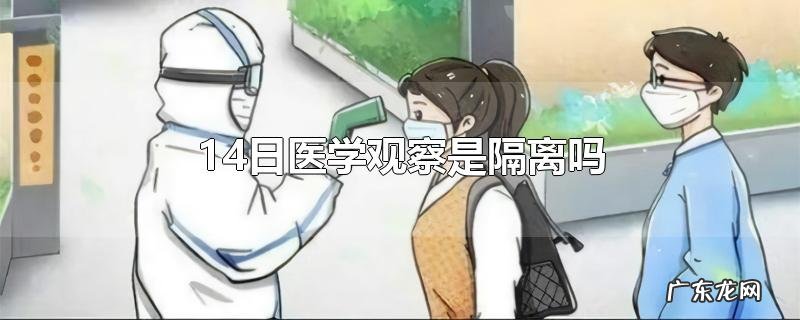 14日医学观察是隔离吗