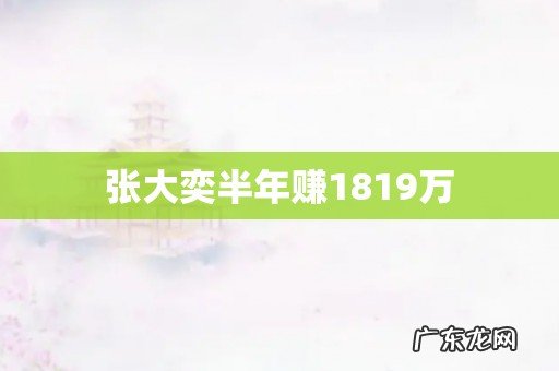 张大奕半年赚1819万