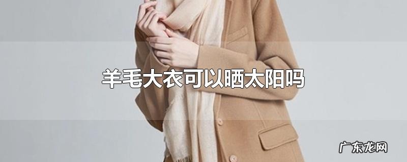 羊毛大衣可以晒太阳吗