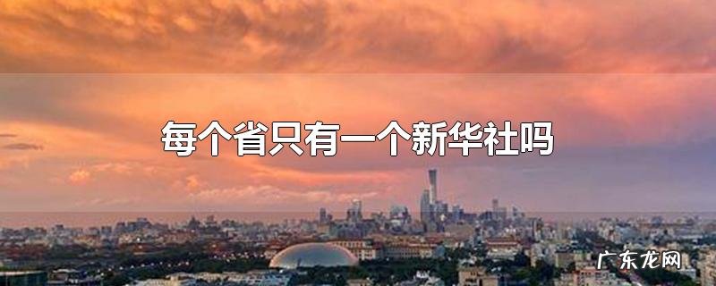 每个省只有一个新华社吗