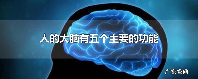人的大脑有五个主要的功能