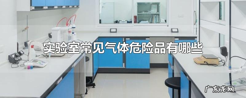 实验室常见气体危险品有哪些