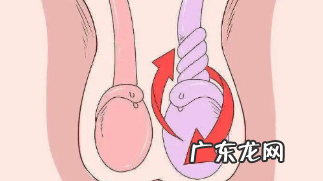 男人的蛋蛋可以随便乱摸吗