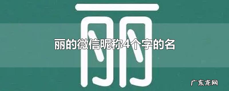 丽的微信昵称4个字的名