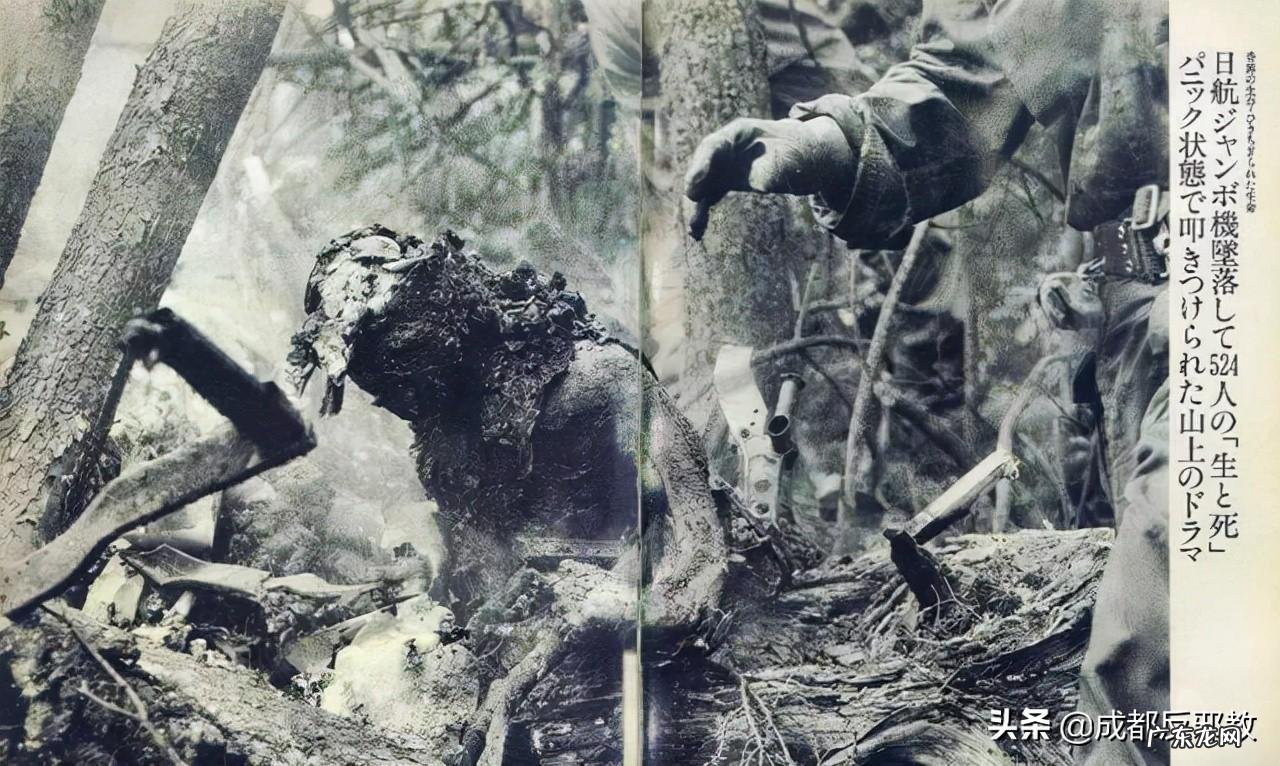 日本航空123号班机空难事件