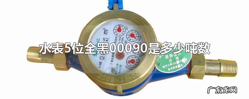 水表5位全黑00090是多少吨数