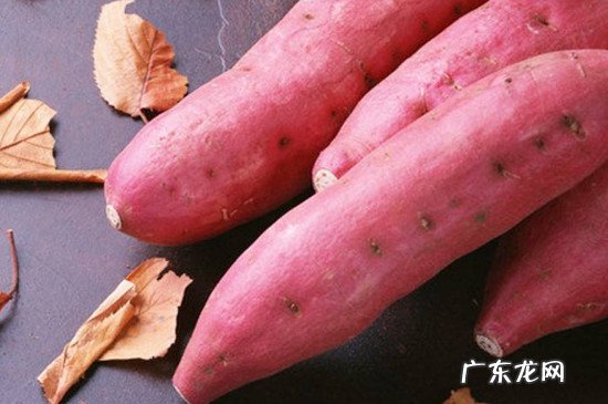 柿子不能和什么食物一起吃