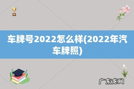 2022年汽车牌照 车牌号2022怎么样
