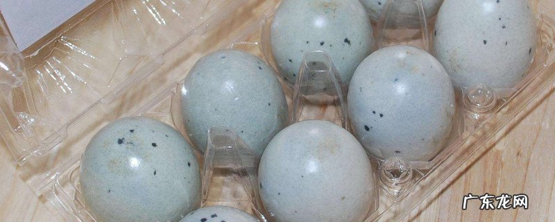 松花蛋可以和虾一起吃吗