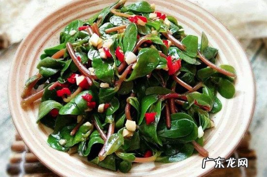 芒果不能和什么一起吃