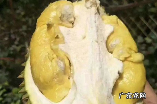 榴莲可以和红薯一起吃吗?