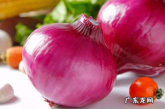 兔肉可以和洋葱一起吃吗