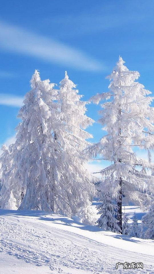 女尊 雪落无声(青衣美人(女尊))