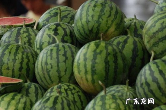 菠萝可以和西瓜一起吃吗