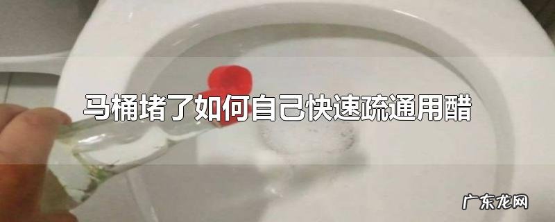 马桶堵了如何自己快速疏通用醋