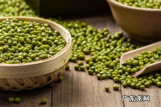 驴肉可以和绿豆一起吃吗
