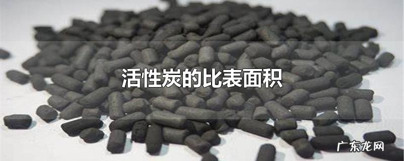活性炭的比表面积