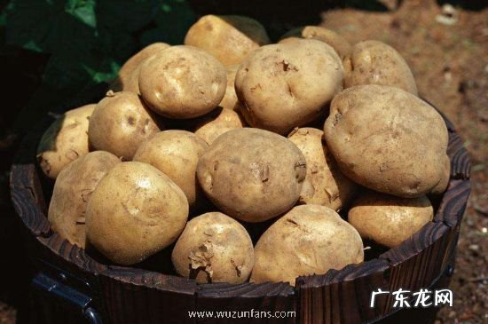 皮蛋可以和土豆一起吃吗