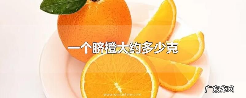 一个脐橙大约多少克