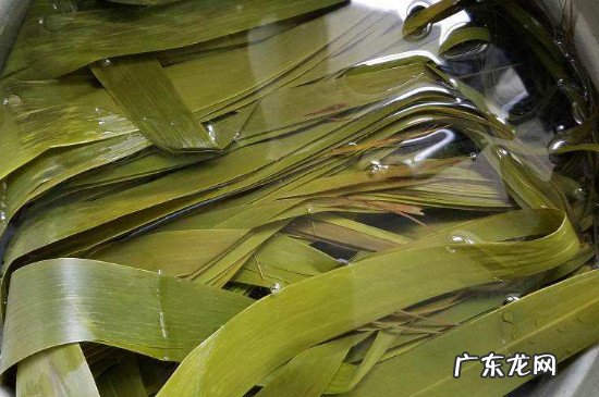 粽叶怎么处理才不会粘米