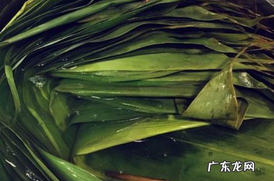 粽叶怎么处理不容易破