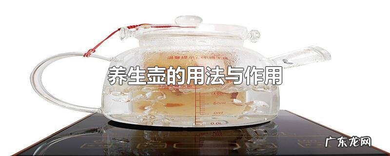 养生壶的用法与作用