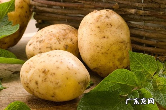 羊肉可以和土豆一起吃吗