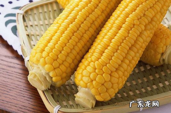 海鲜可以和玉米一起吃吗