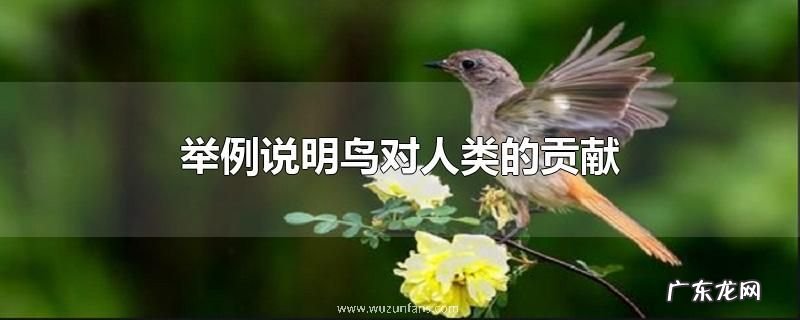 举例说明鸟对人类的贡献
